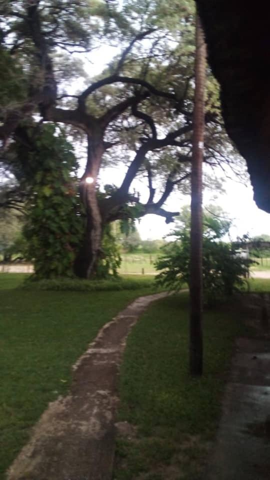 רונדו Camp Hogo Kavango מראה חיצוני תמונה