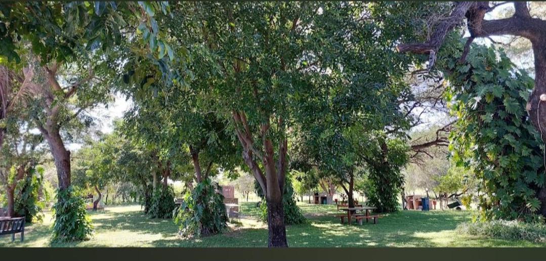 רונדו Camp Hogo Kavango מראה חיצוני תמונה